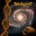 HEIR APPARENT - VIEW FROM BELOW LP