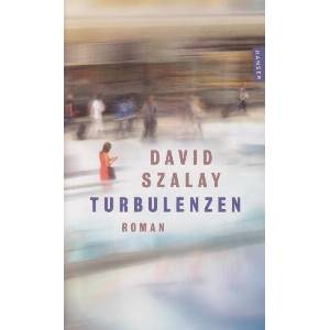 Turbulenzen (ISBN: 9783446289185)
