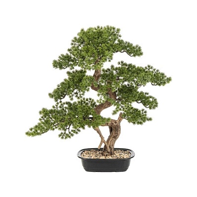 Mini Pine Bonsai v kvetináči 28x7 cm výška 68 cm
