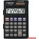 Casio DX 12 B