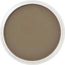 Panpastel 9 ml 780.5 raw umber