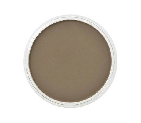 Panpastel 9 ml 780.5 raw umber
