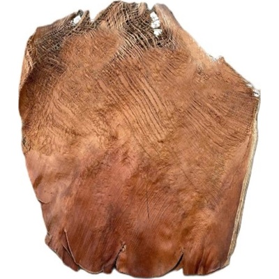 Indická sušina Palm bakla natur, 500 g