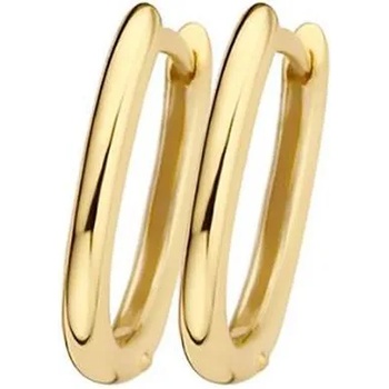 Blush Дамски златни обеци Blush 7219YGO (7219YGO)