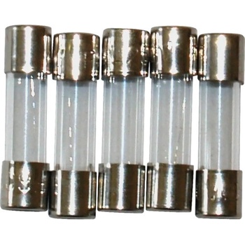 Skleněná pojistka F 2A 5 ks