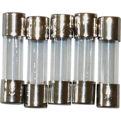 Skleněná pojistka F 2A 5 ks