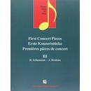 Erste Konzertstücke III