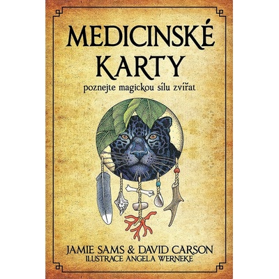 Medicinské karty - Poznejte magickou sílu zvířat - Kniha + 52 karet - David Carson