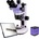 Magus D7T