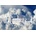 Bluebird Puzzle - Puzzle Neuschwanstein Castle in the Clouds - 500 piese