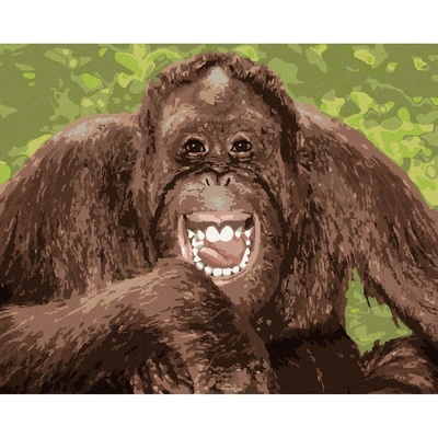 Zuty Malování podle čísel VYSMÁTÝ ORANGUTAN