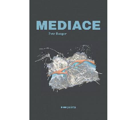 Mediace - Petr Bazger