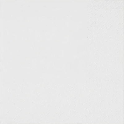 Santex Ubrousky papírové bílé 21x20cm 25ks