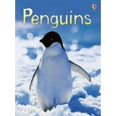 Penguins Bone Emily