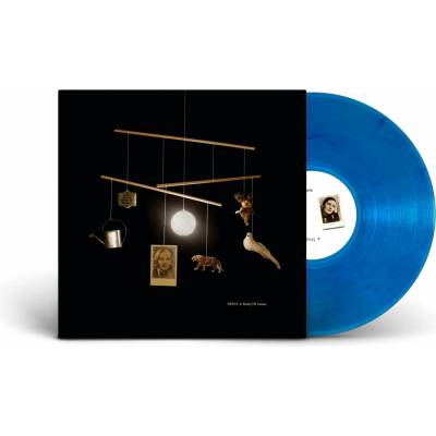 Beirut - A STUDY OF LOSSES Vinyl