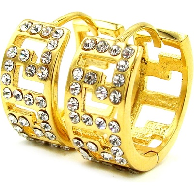 Steel Jewelry náušnice KRUHY GOLD chirurgická ocel NS231193
