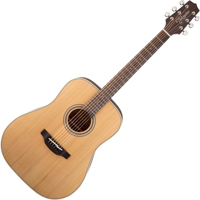 Takamine GD20