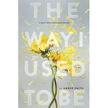 Image 1 of Way I Used to Be | Amber Smith