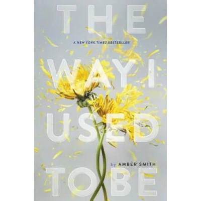 Way I Used to Be | Amber Smith