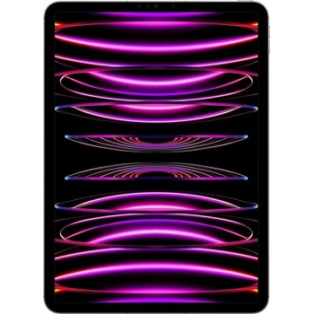 Apple iPad Pro 11 (2022) 1TB Wi-Fi + Cellular Space Grey MNYJ3FD/A