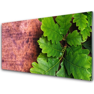Obraz na skle Listy Dub 100x50 cm