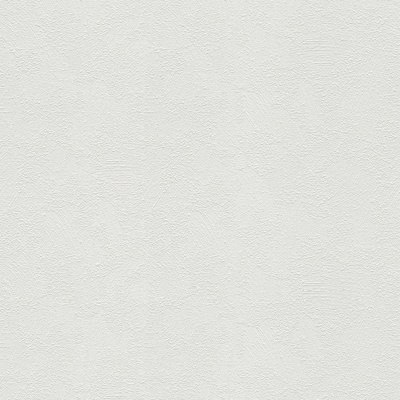 A.S. Création 103611 přetíratelné tapety na zeď Meistervlies Protect 4 rozměry 0,53 x 10,05 m – Hledejceny.cz