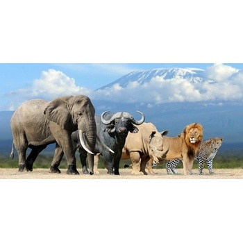 (C) 3D panoráma - THE BIG FIVE