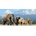 (C) 3D panoráma - THE BIG FIVE