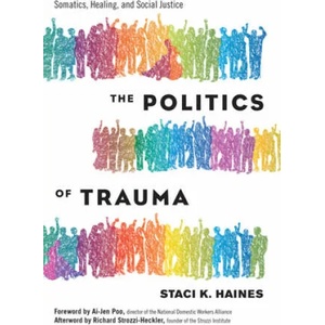 Politics of Trauma, The | Staci Haines (ISBN: 9781623173876)