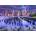 Enjoy - Puzzle Cloudy Sky Over Manhattan, New York - 1 000 piese