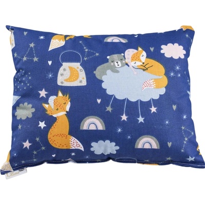 Pleva Prémiový bylinný dětský Barevní kocouři 23 x 29 cm – Zboží Dáma