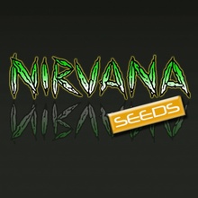 Nirvana Girl Scout Cookies Semena neobsahují THC Seeds 5 ks