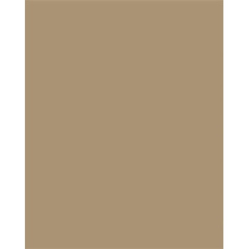 folia Цветна хартия, A3, 130 г, 50 листа, FOLIA, цвят fawn 6375 (6375)