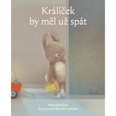 Králíček by měl už spát - Amy Hest, Renata Liwska ilustrátor
