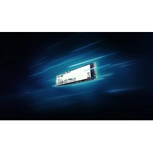 Kingston NV3 500GB, SNV3S/500G