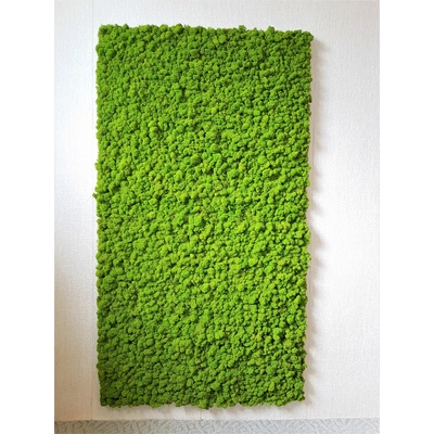 Machový panel 180cm x 100cm