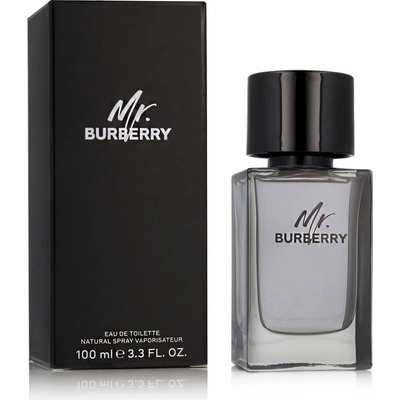 Burberry Mr. Burberry toaletná voda pánska 100 ml