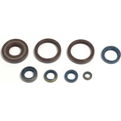 Sada gufer motoru ATHENA P400220400252