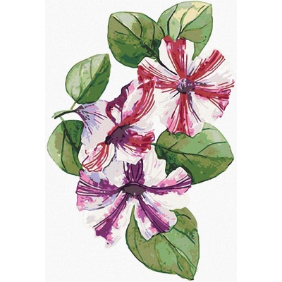 Zuty Malování Podle Čísel Jarní Petúnie Alexandria Gilbert 40 x 50 Cm Plátno