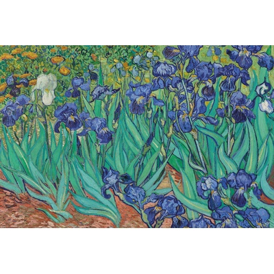 Plagát, Obraz - Vincent van Gogh - Les Irises, 91.5 × 61 cm
