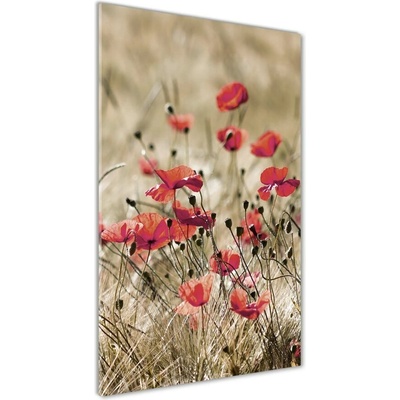 Vertikálny foto obraz sklenený Poľné kvety 50x100 cm
