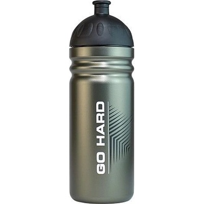 Zdravá lahev Go hard 700 ml