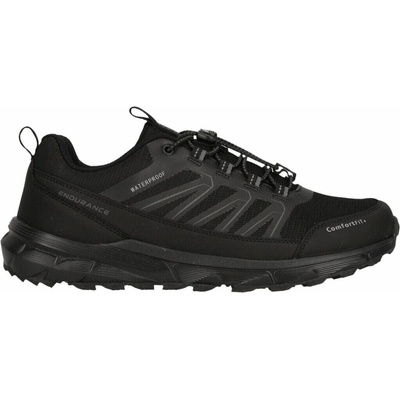 Endurance Ferill