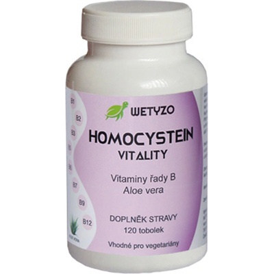 HCY Vitality Homocystein s Aloe vera 120 tablet