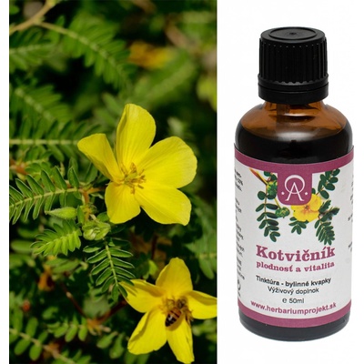 Herbarium Projekt Kotvičníkplodnosť a vitalitatinktúra 50 ml