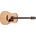 Ibanez AAD100-OPN