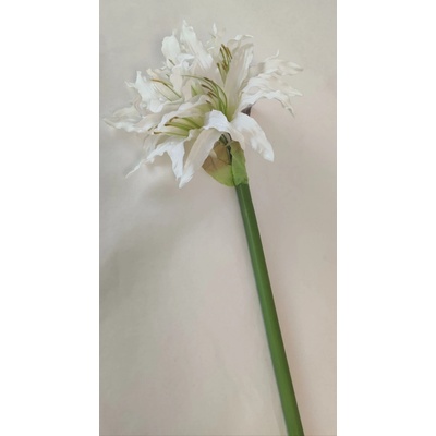 DecorGlass 2515