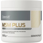 OstroVit MSM Plus [300 грама] Грейпфрут