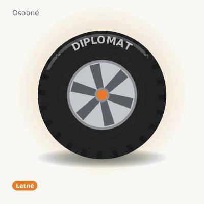 Diplomat HP 195/65 R15 91V