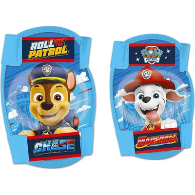 Seven Paw Patrol Boys